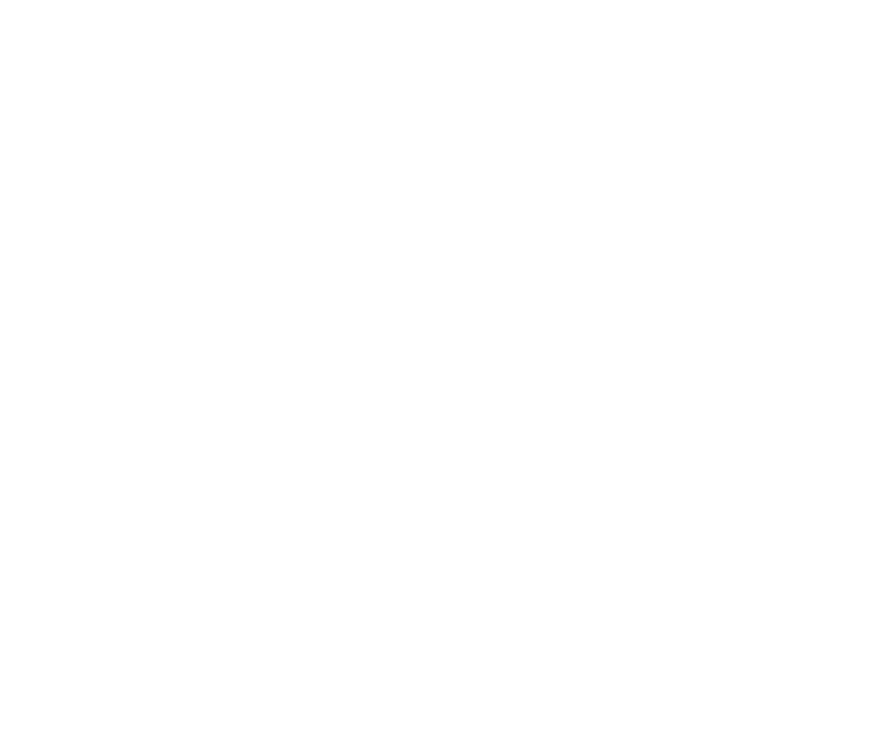 زیبا محبوبی